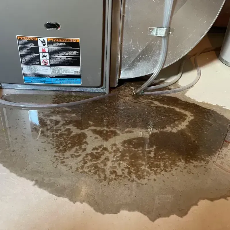 Appliance Leak Cleanup in Bakersville, NC